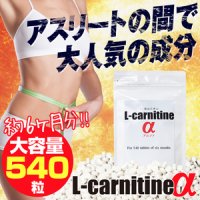  L-carnitineα（L-カルニチンα）【大容量約6か月分】
