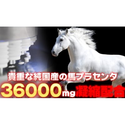 画像4: 純国産高級馬プラセンタ36000(約6ヵ月分)