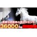 画像4: 純国産高級馬プラセンタ36000(約6ヵ月分) (4)